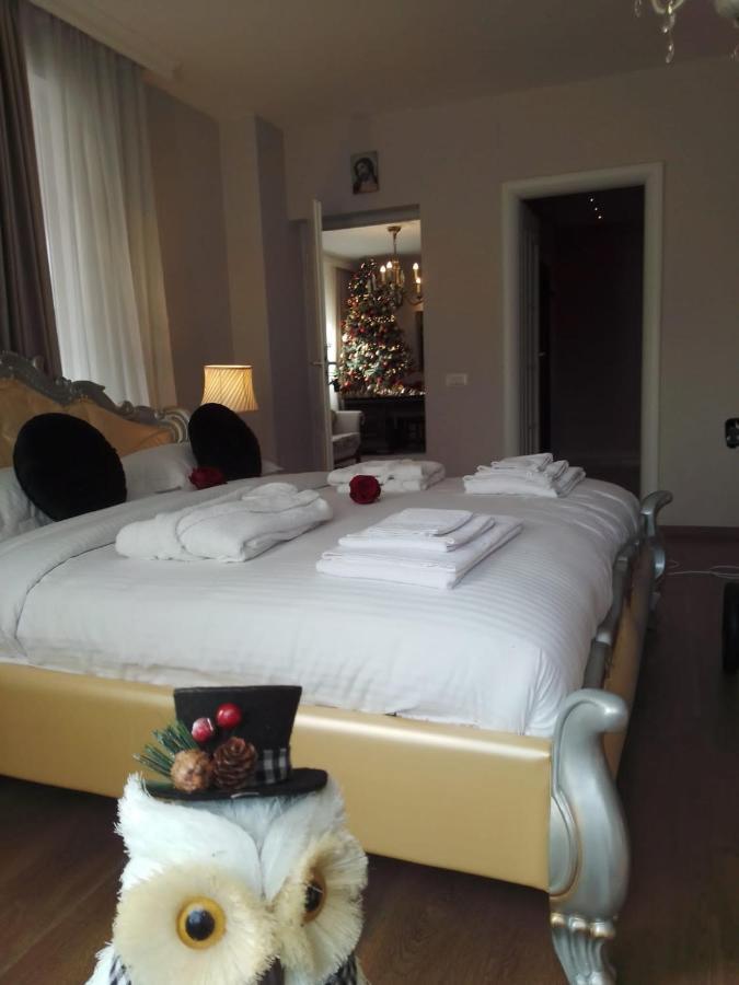 Hotel Casa Maria Roses Rîşnov Exterior foto